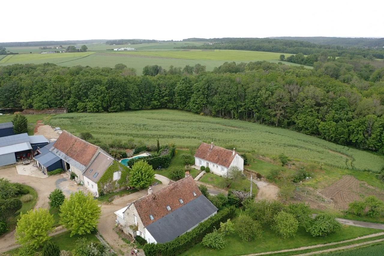 Chambres D Hotes De La Mauguiniere Neuillé-le-Lierre 외부 사진